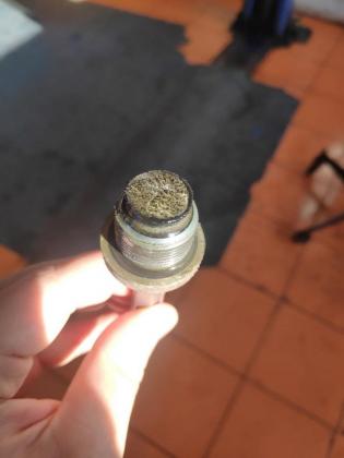 post-13487-0-34226400-1617099589_thumb.jpg