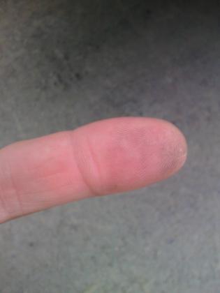 post-7338-0-35263700-1492832212_thumb.jpg