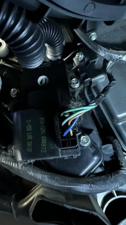 Без имени.jpg