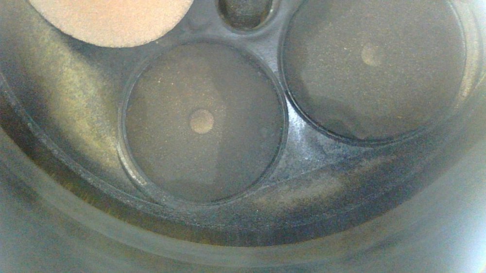 IMG-20230620-WA0004.jpg